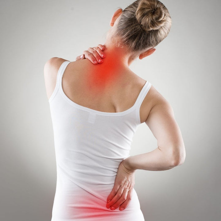 Physical Therapy vs. Chiropractic: What’s the Difference?