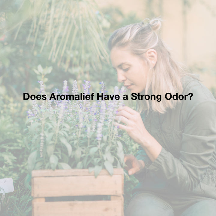 does Aromalief have a strong odor?