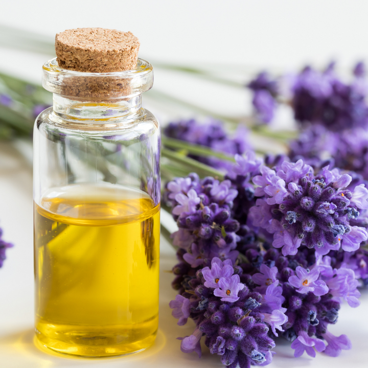 Is Lavender Oil Good for Joint Pain?