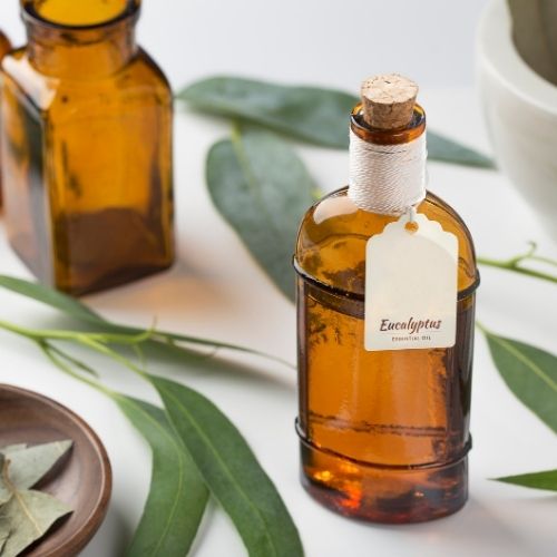 The Benefits of Eucalyptus for Pain